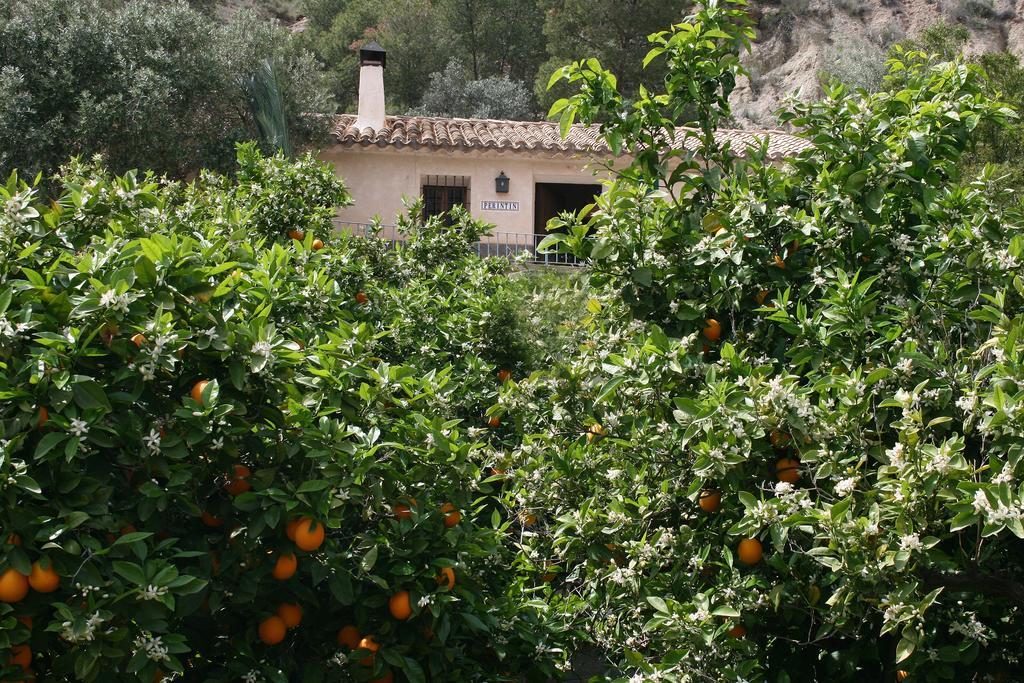 Casica de Perintín Villa Ricote Exterior foto